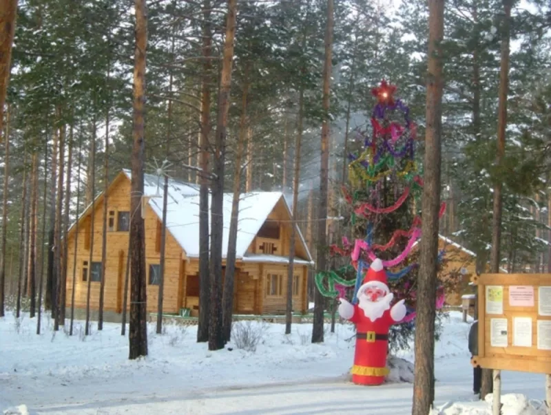 Новогодний банкет и новогодние каникулы на базах отдыха Ирк.области